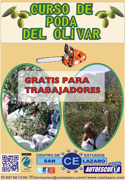 Curso de Poda del Olivar